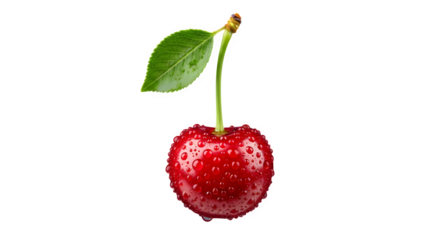 Single red cherry with stem and leaf isolated on transparent background