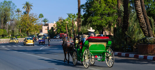 A horse-drawn carriage on a sunny street with lush greenery and palm trees. Marrakesh, Morocco