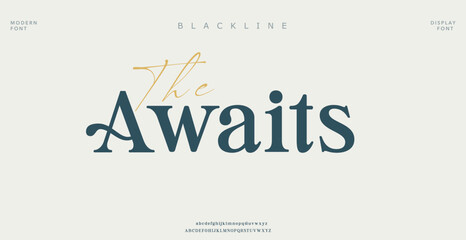 Elegant alphabet letters font logo. Typography luxury classic lettering serif italic fonts decorative wedding vintage retro logos. vector illustration