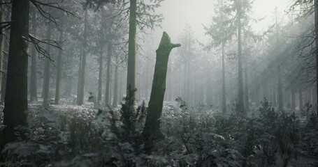 A serene winter forest filled with tall trees covered in frost. Soft snow blankets the ground, creating a peaceful setting that captures the magic of a foggy winter day. - Powered by Adobe