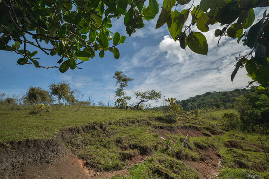Lush green landscape with trees under a bright blue sky and scattered clouds. San Agustin, Colombia