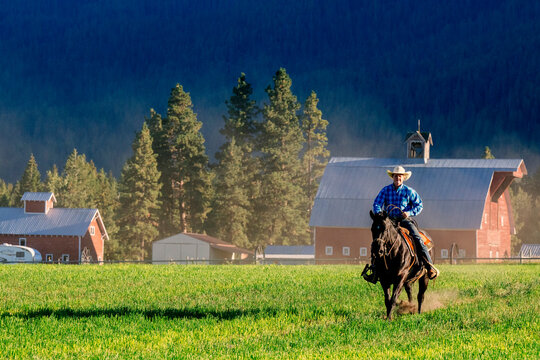 A cowboy rides a horse across a green field with red barns and tall pine trees in the background. Oregon, USA