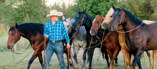 Cowboy in a plaid shirt handles a group of horses in a grassy field surrounded by trees. Oregon, USA