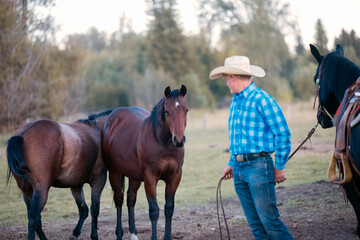 Cowboy in blue plaid shirt with horses in a grassy field. Oregon, USA