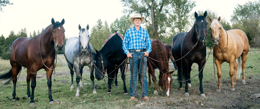 Cowboy in blue plaid shirt stands with several horses in an open field surrounded by trees. Oregon, USA
