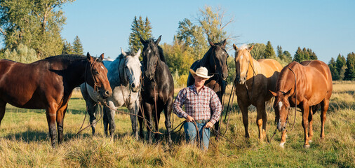 A cowboy kneeling in a field surrounded by seven horses on a sunny day. Oregon, USA