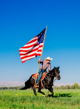 Cowboy on horseback waving a large American flag on a sunny day in an open field. Oregon, USA