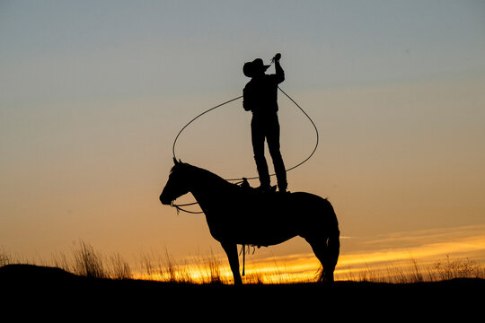 Silhouette of a cowboy on horseback lassoing at sunset with a vibrant sky. Oregon, USA