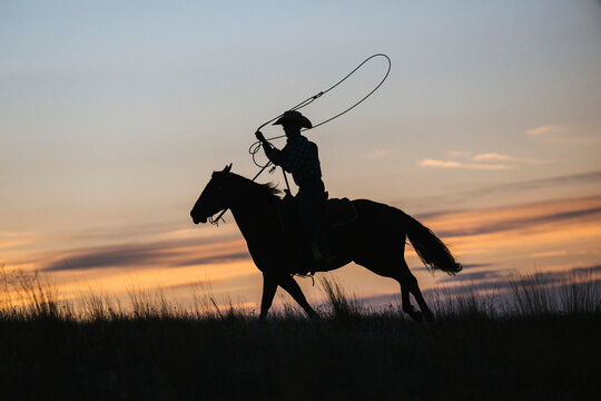 Silhouette of a cowboy on horseback lassoing at sunset on an open plain. Oregon, USA