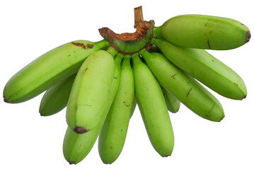 Cluster of Unripe Green Baby Bananas Isolated on White Background