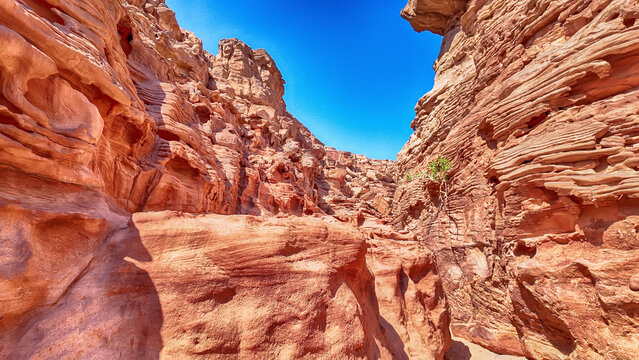 Scenic canyon landscape in the desert of South Sinai, Egypt