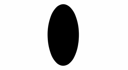 A simple solid black vertical ellipse shape isolated on a white background.