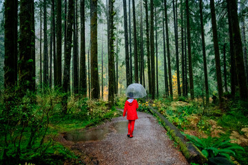 A person in a red coat with an umbrella walks through a lush forest on a misty day. WA, USA