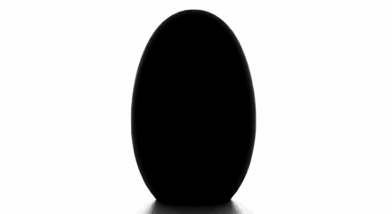 Silhouette of a Dark Egg Against a White Background.
