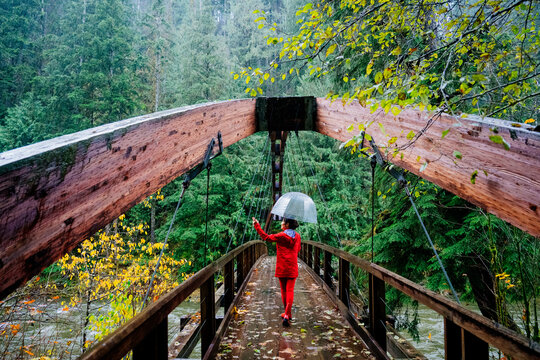 Person in red with an umbrella walks across a wooden bridge in a lush green forest. WA, USA