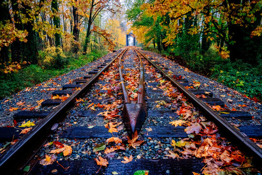 Autumn leaves scatter across train tracks leading into a misty forest with vivid fall colors. WA, USA