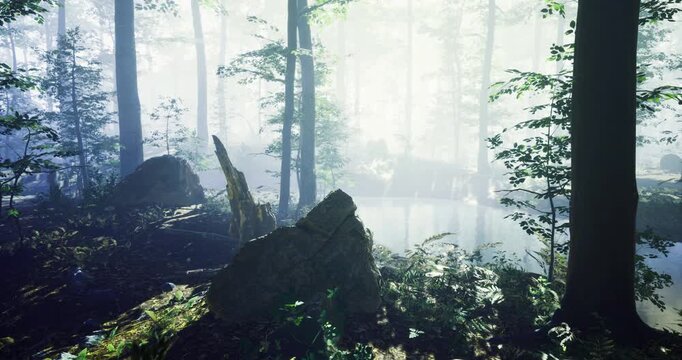 A tranquil setting features towering trees partially shrouded in mist. Sunlight streams through the forest creating a serene atmosphere. Rocks and plants compliment the serene waterway.