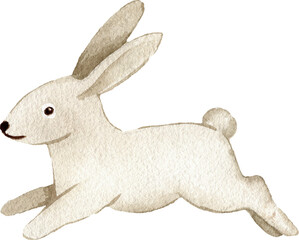 Cute Watercolor Bunny Illustration