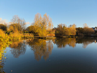 Golden autumn trees reflect perfectly in calm lake water under blue sky.