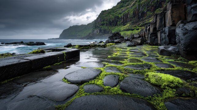 Dramatic coastal landscape with moss-covered rocks and stormy sky at rugged shoreline