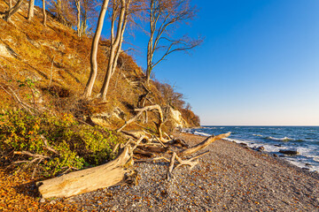 Kreidefelsen im Herbst an der Küste der Ostsee auf der Insel Rügen