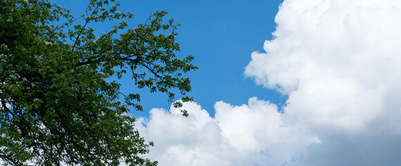 sky is blue and clear with no clouds. The sky is very bright and the sun is shining