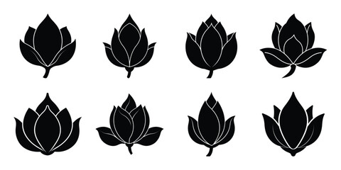 magnolia bud flowers vector icon set. Flowers isolated on transparent background. Flowers in modern simple.