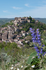 Alb&iacute; y alrededores