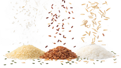 Falling rice medley floating weightlessly on transparent background.