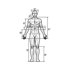Detailed anatomical human body measurements diagram for health, fitness, and medical education.