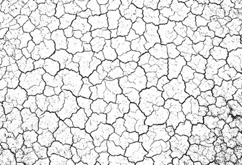 Distressed Black and White Cracked Earth Texture