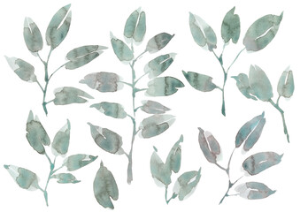 Watercolor branches, green leaves for pattern and ornament