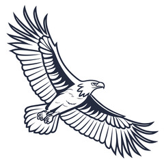 Obraz premium Majestic Eagle Soaring with Wings Spread Wide on White Background bird flying