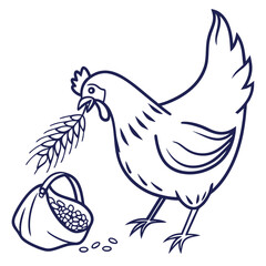 Chicken Eating Grain from a Bag with Wheat Stalk on White Background bird fowl