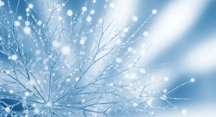 Close up of frosty branches with glowing lights and soft blue bokeh background
