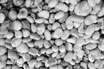 Natural Smooth White Pebbles for Decorative Landscaping and Zen Gardens