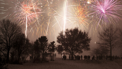 Spectacular fireworks illuminate night sky above gathering crowd, creating magical festive atmosphere for celebrations, holidays, and community events