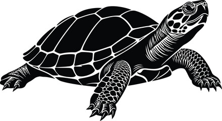 Detailed turtle illustration in black and white for graphic design
