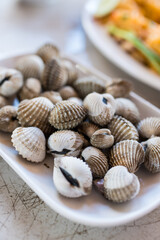 Delicious boiled or steamed cockles on a plate.