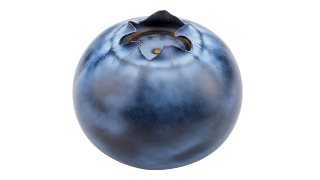 Single Blueberry Macro Isolated Keywords: blueberry, fruit, berry, blue, round, food, healthy