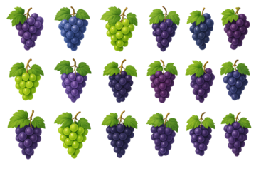 Collection of various fresh grape clusters in different colors isolated on transparent background