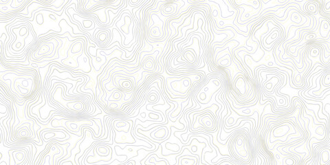 topography white background and black line wireframe isoline location diagram world map texture design.	
