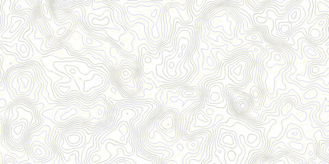 topography white background and black line wireframe isoline location diagram world map texture design.	
