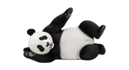 Cute giant panda plush toy lying on its back playfully posing for fun commercial use isolated PNG with Transparent Background