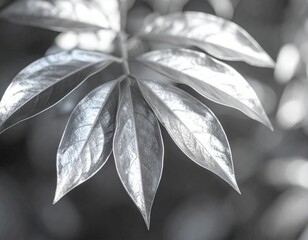 "Veins of Silence: Monochrome Leaves in Meditative Focus" 🖤