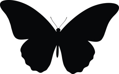Elegant butterfly silhouette isolated on white background for design projects