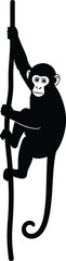 Monkey climbing a pole silhouette illustration on a white background