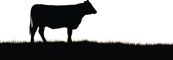 Silhouette of a cow standing in a field against a white sky