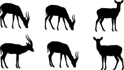 Silhouette antelope grazing and standing in pairs, horned and hornless wildlife animals in natural posture, isolated vector illustration set