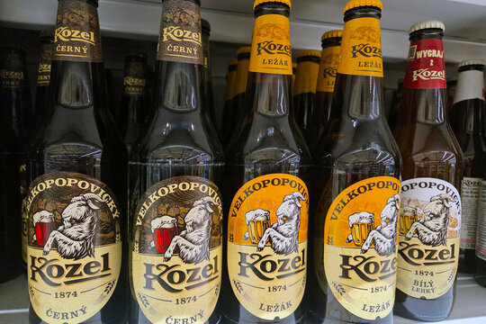 Wroclaw, Poland, November 22, 2025: Assortment of Kozel Beer Bottles in Store Display for Beverage Packaging Design